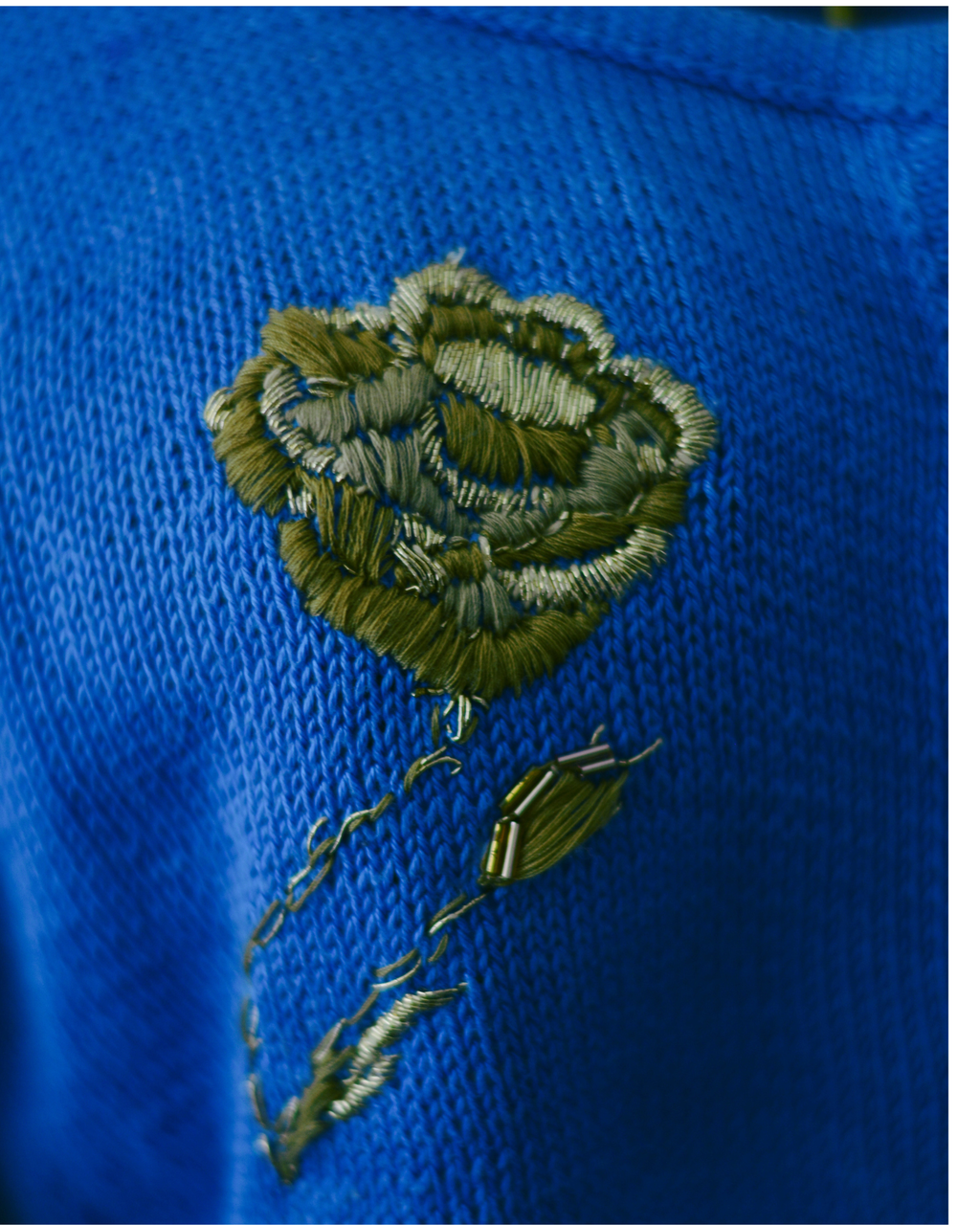 Centifolia Top No. 1 / Rolling Roses