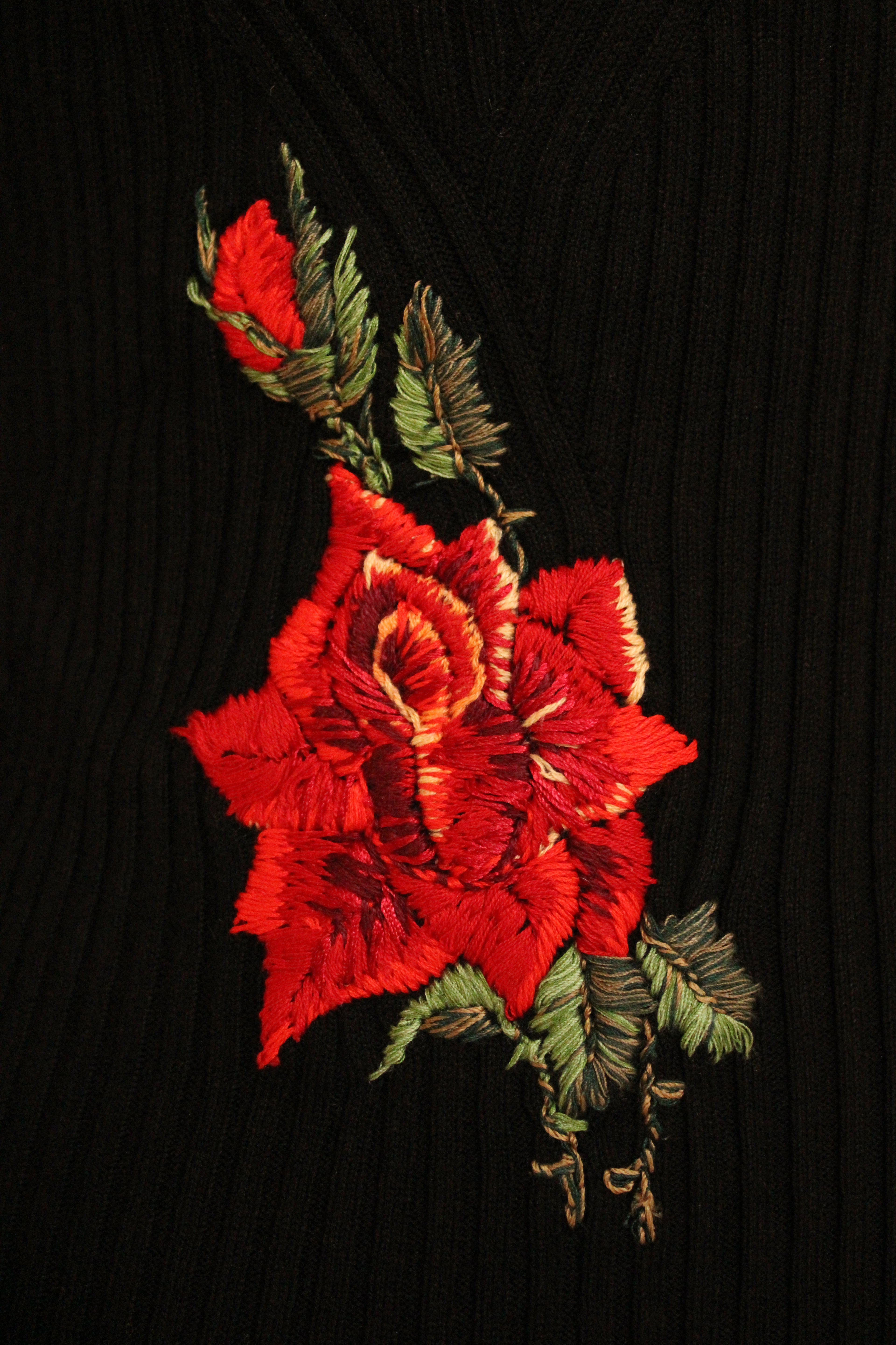 Red Rose Hips Top No. 1