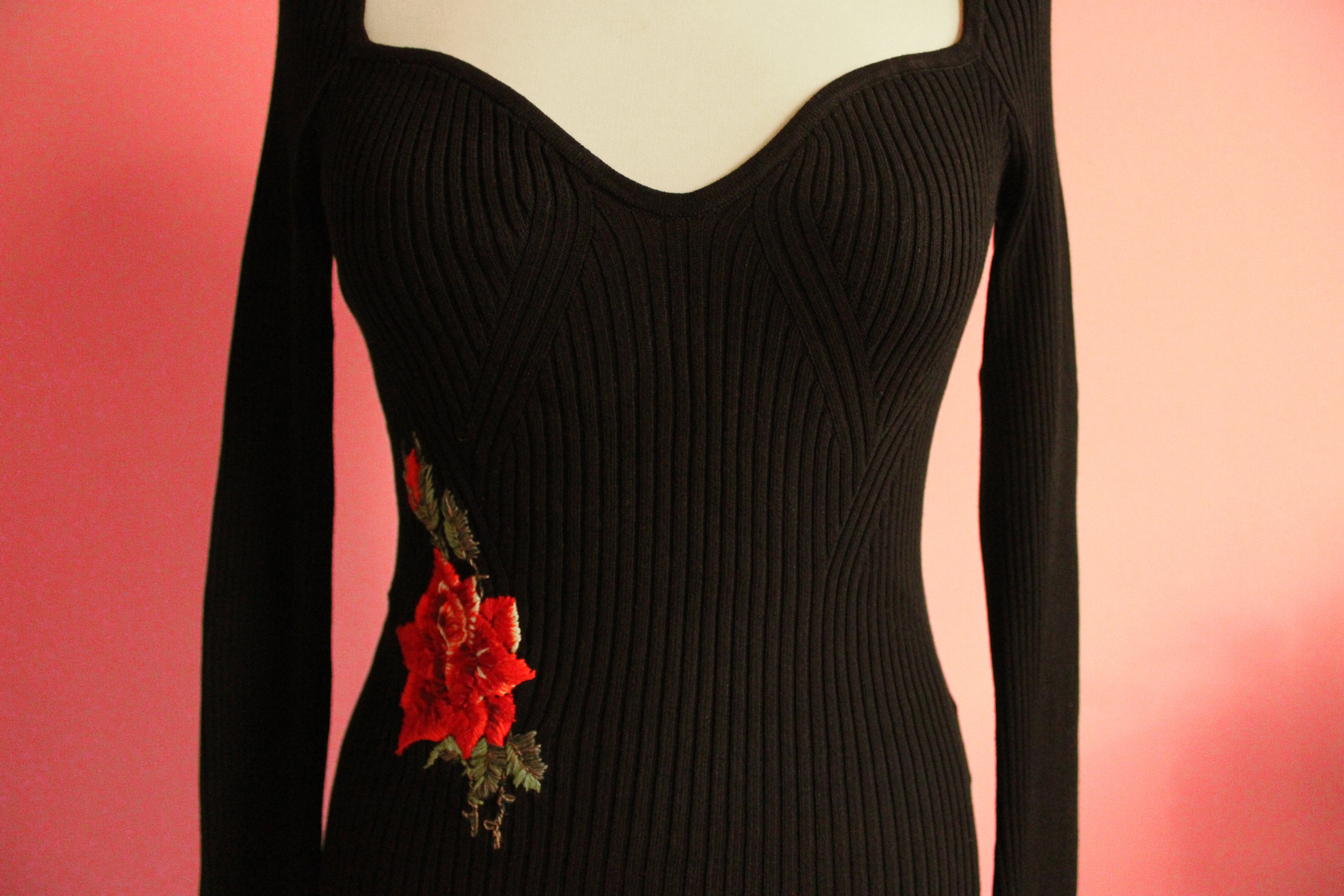 Red Rose Hips Top No. 1