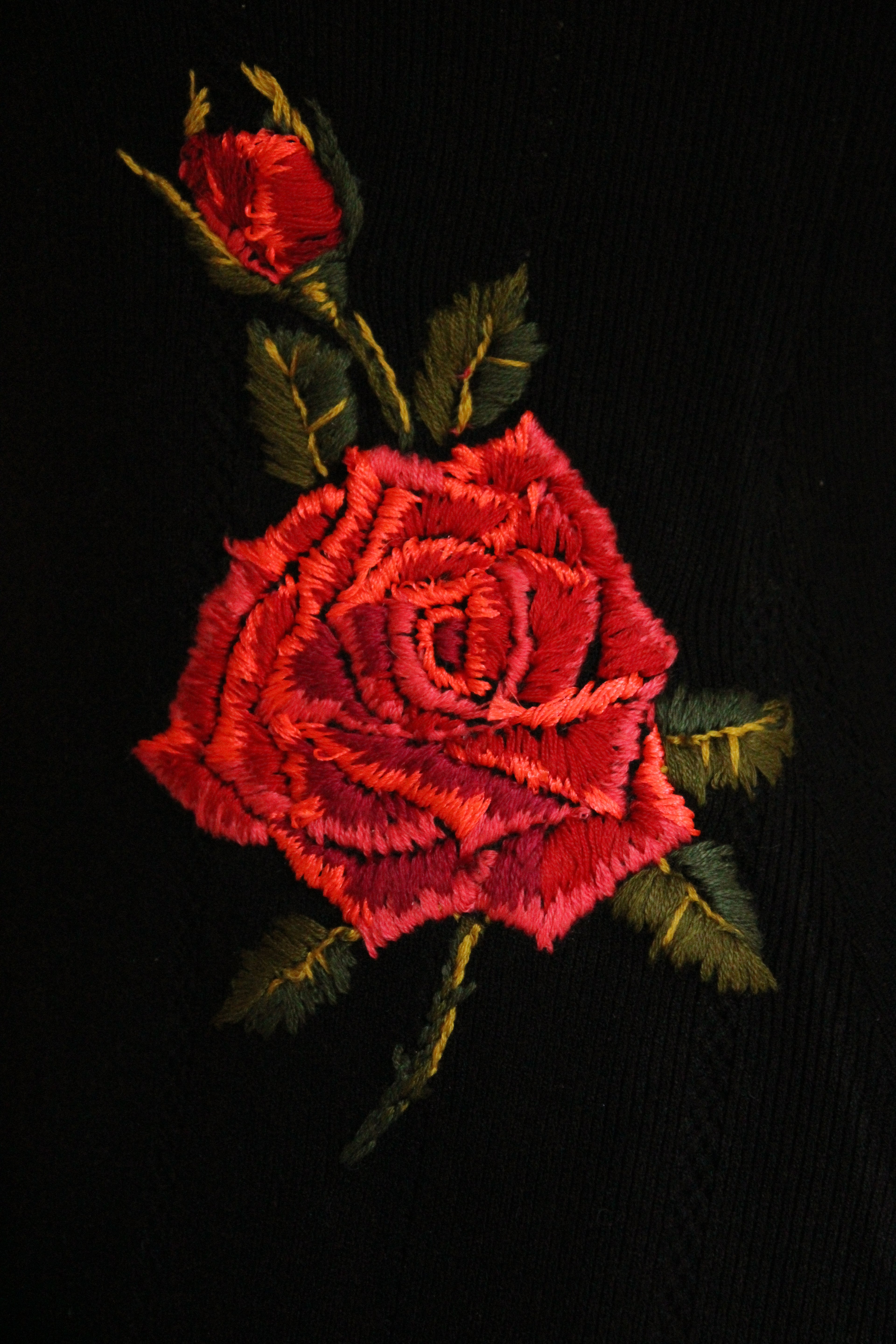 Red Rose Hips Dress No. 1