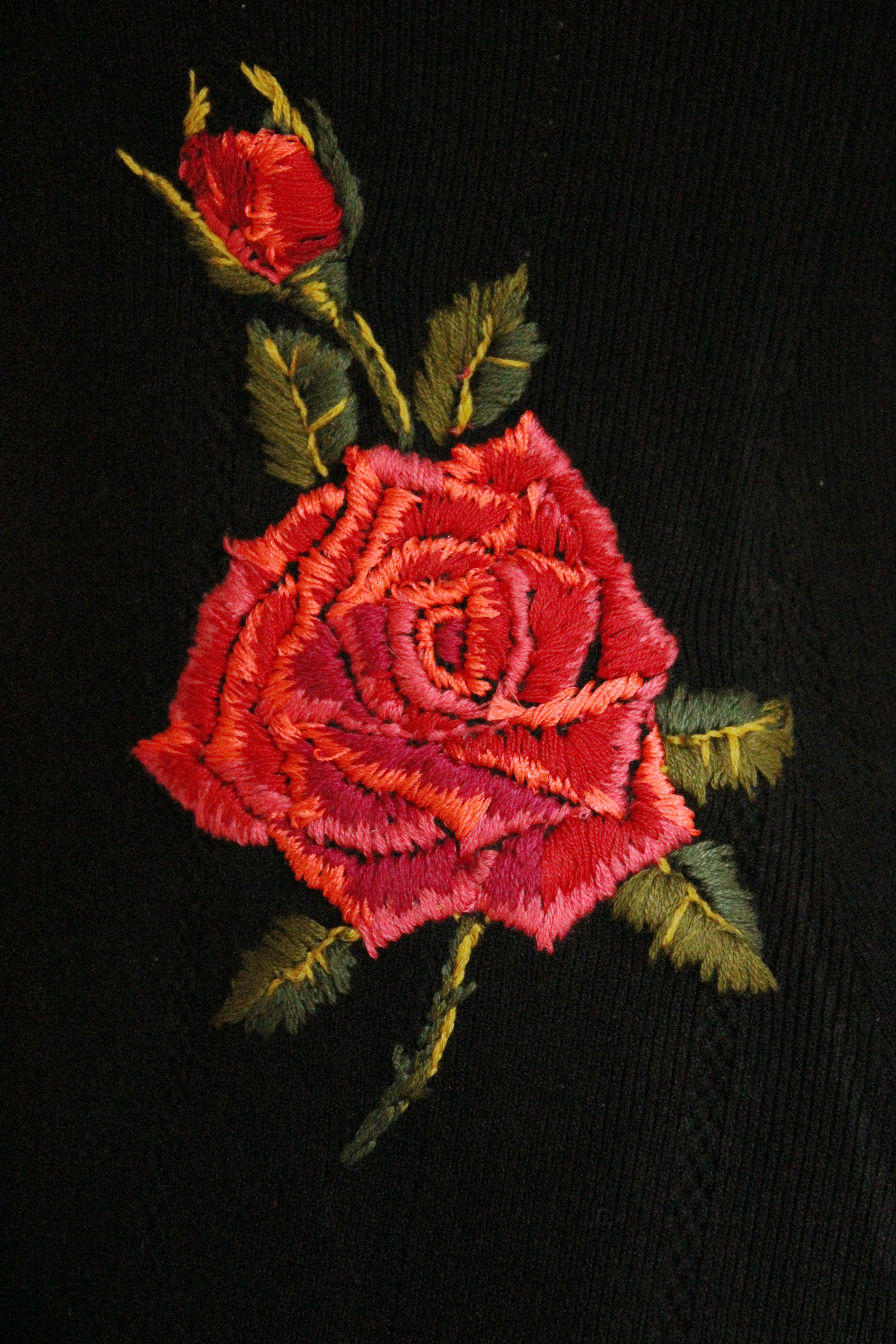 Red Rose Hips Dress No. 1