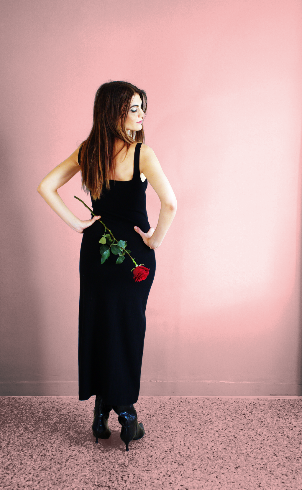Red Rose Hips Dress No. 1