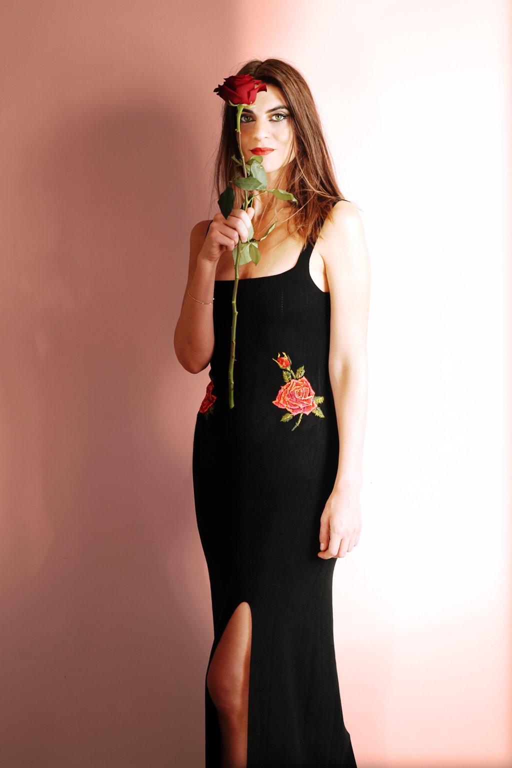 Red Rose Hips Dress No. 1